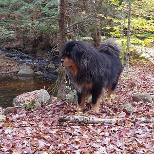 Meet your Posher, Debbie